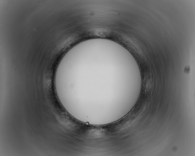 X0000101690595200807241411