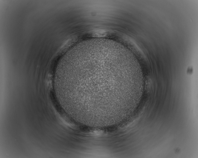 X0000101690598200807241411