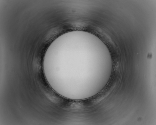 X0000101690599200807241411