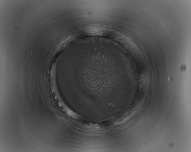 X0000101690600200807241411