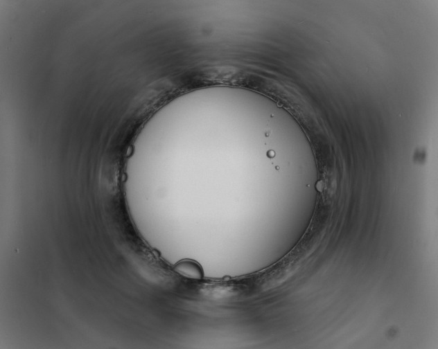 X0000101690602200807241411