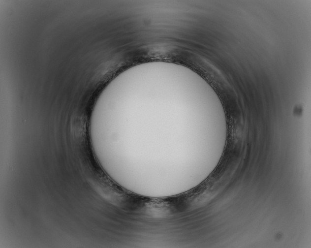 X0000101690603200807241411