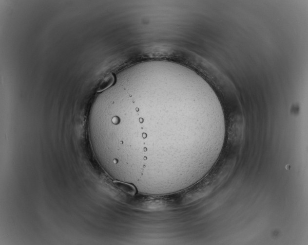 X0000101690604200807241411