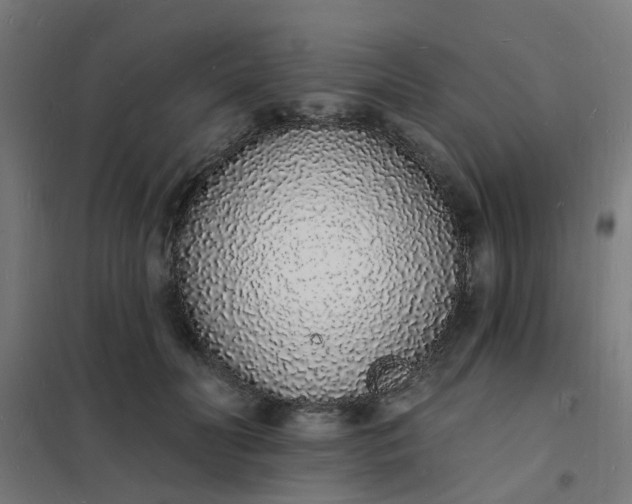 X0000101690606200807241411