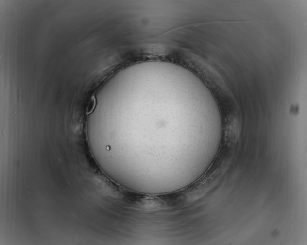 X0000101690608200807241410