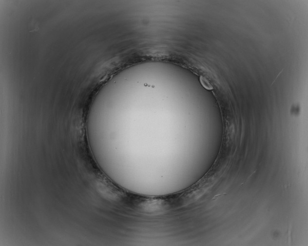 X0000101690609200807241410