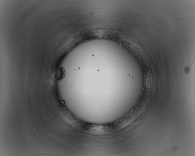 X0000101690611200807241410