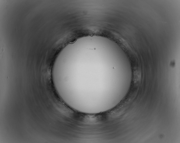 X0000101690613200807241410