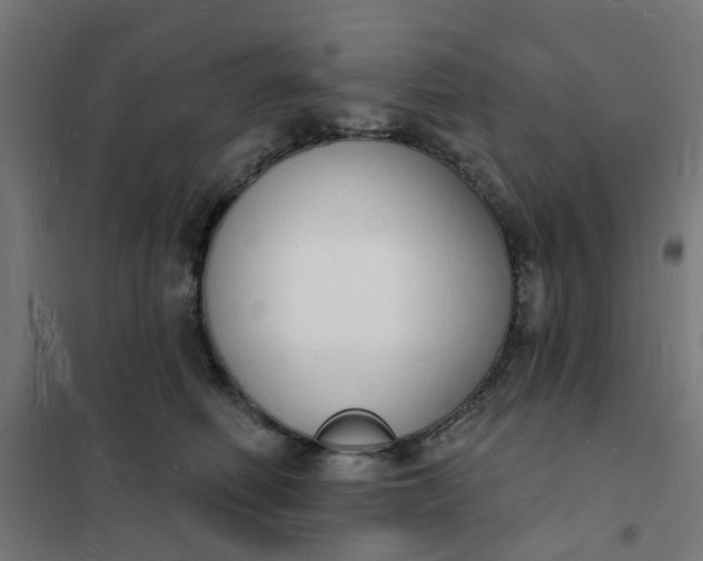 X0000101690614200807241410