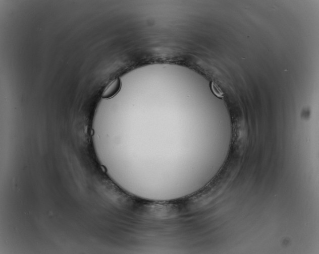 X0000101690615200807241410