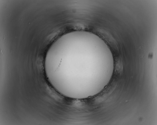 X0000101690616200807241410