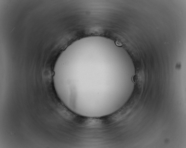 X0000101690617200807241410