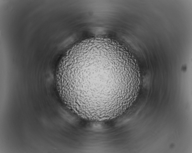 X0000101690618200807241410