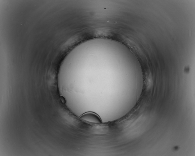 X0000101690619200807241410