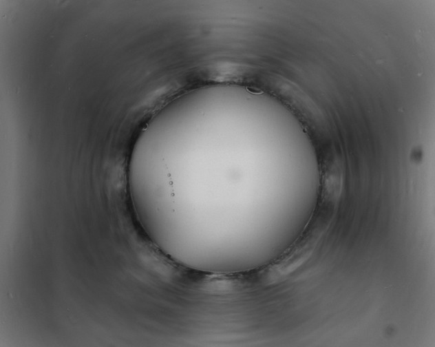 X0000101690620200807241410