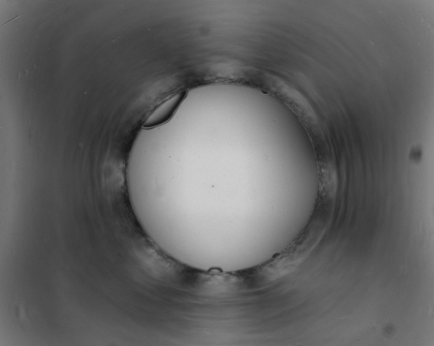 X0000101690621200807241410