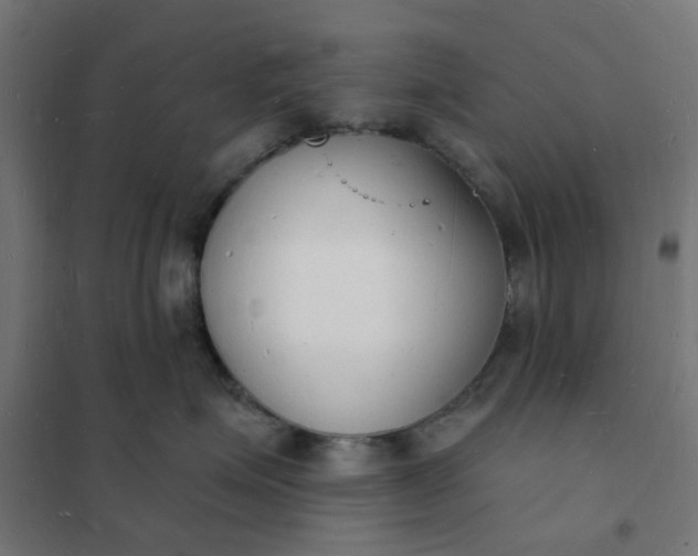 X0000101690623200807241410