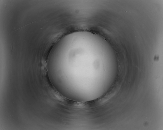 X0000101690624200807241410