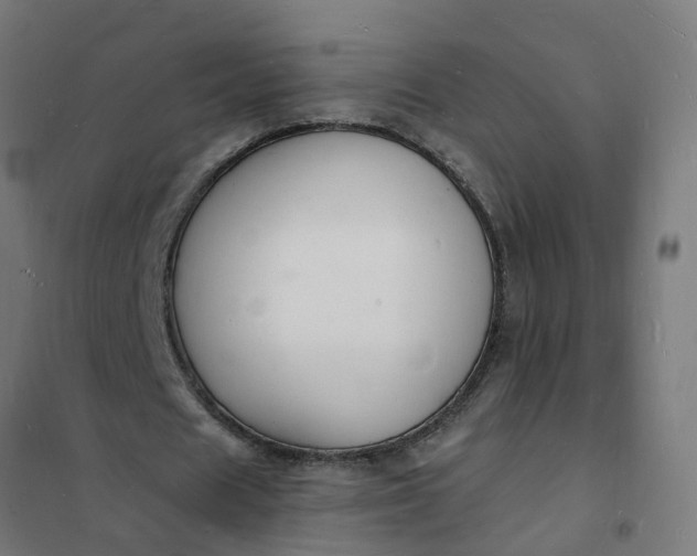 X0000101690625200807241409