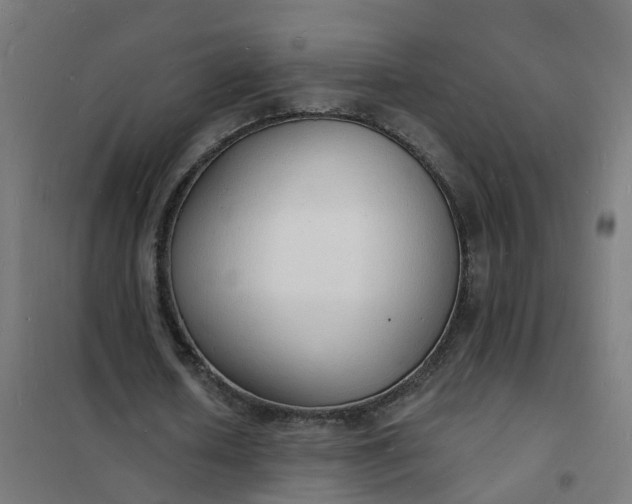 X0000101690626200807241409