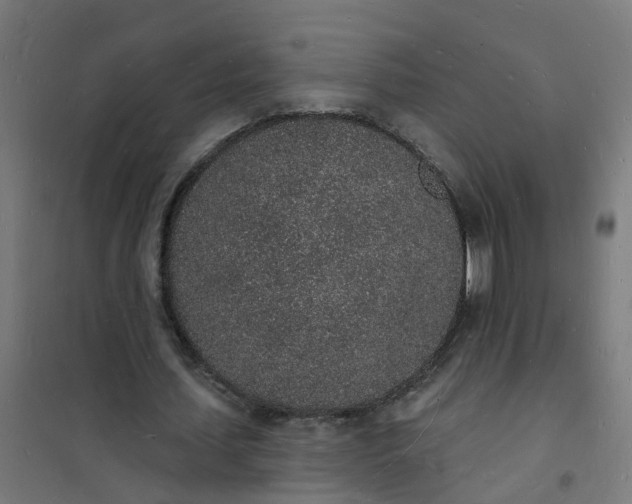 X0000101690627200807241409