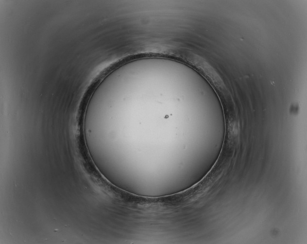 X0000101690628200807241409