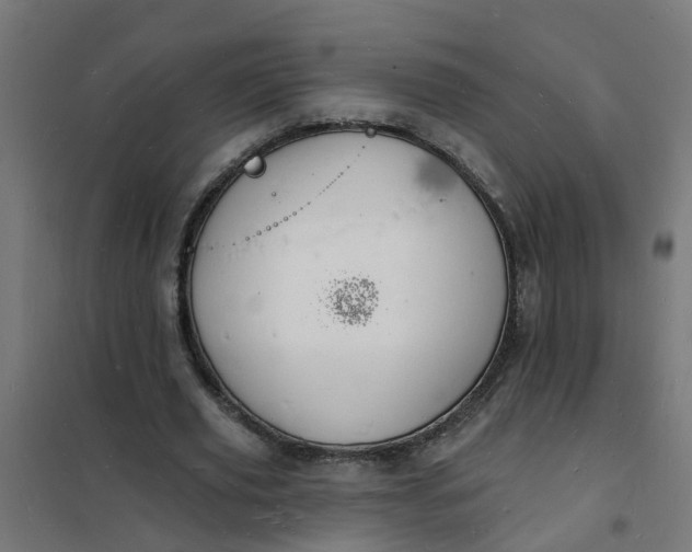 X0000101690629200807241409