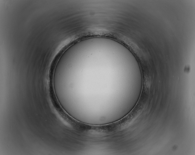 X0000101690630200807241410