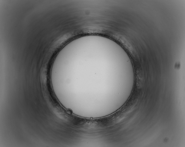 X0000101690631200807241410