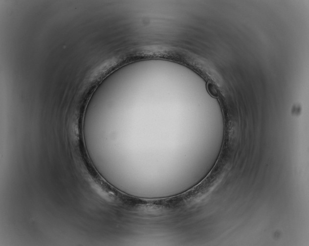 X0000101690633200807241410