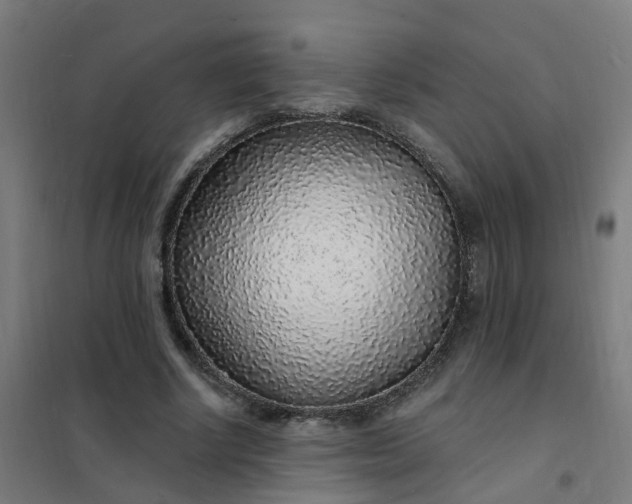 X0000101690634200807241410