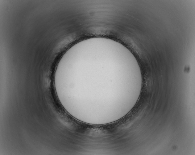 X0000101690635200807241410