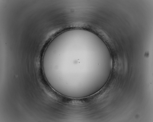 X0000101690636200807241410