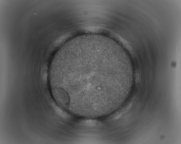 X0000101690637200807241410