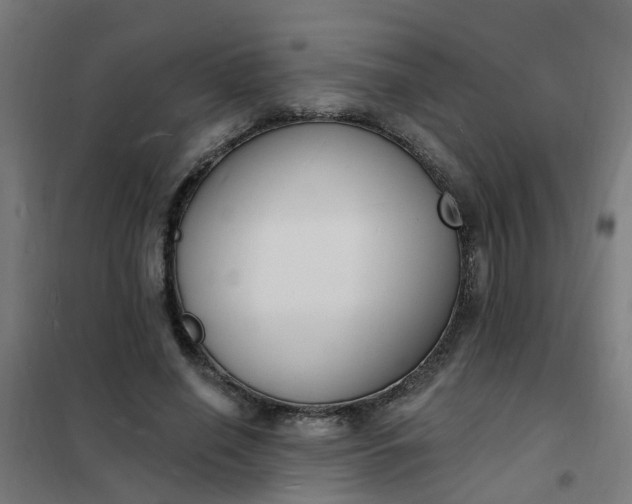 X0000101690638200807241410