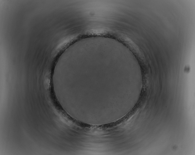 X0000101690640200807241410