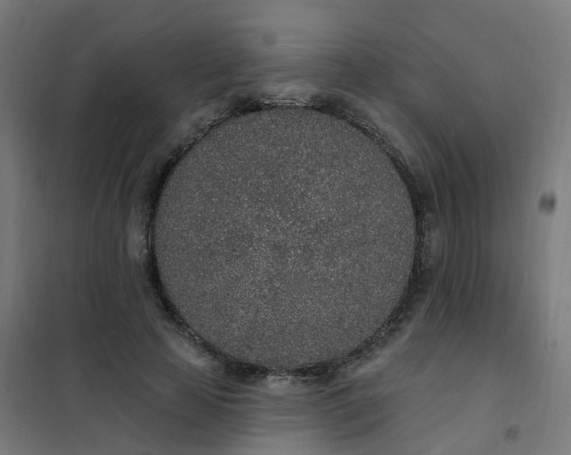 X0000101690641200807241410