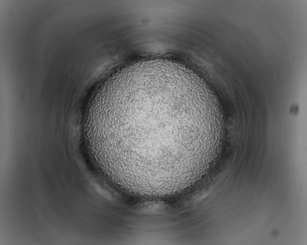 X0000101690642200807241410