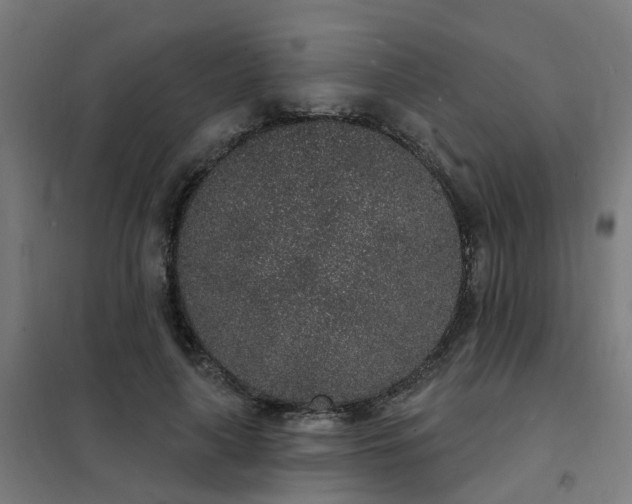 X0000101690643200807241410