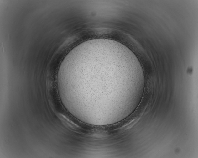 X0000101690644200807241410