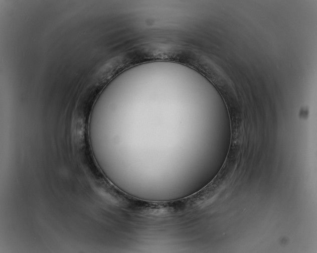 X0000101690646200807241410