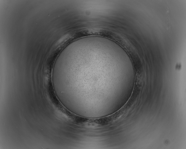 X0000101690648200807241410