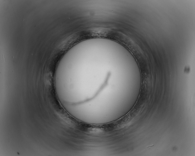 X0000101690649200807241410