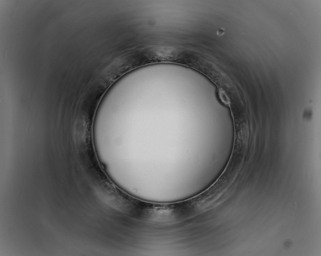 X0000101690651200807241410