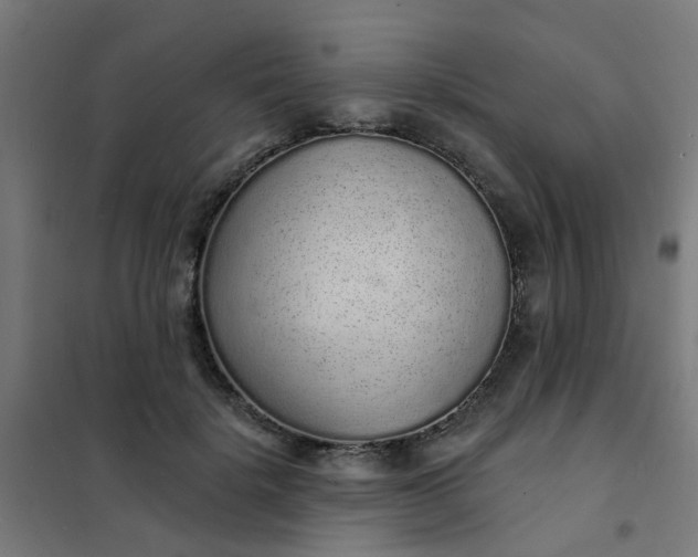 X0000101690652200807241410