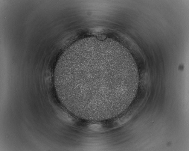 X0000101690653200807241410