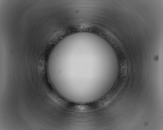 X0000101690654200807241410