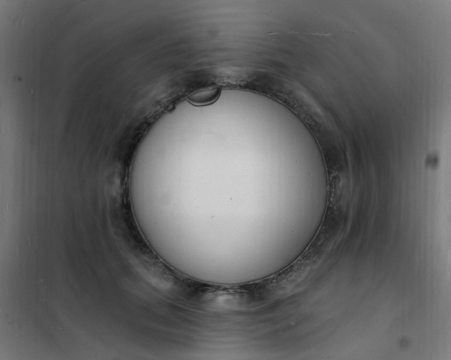 X0000101690655200807241410