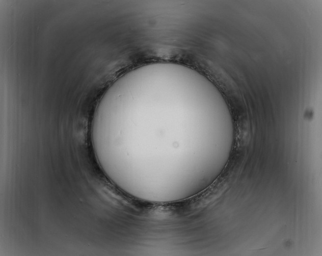 X0000101690656200807241410