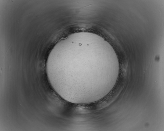 X0000101690657200807241410